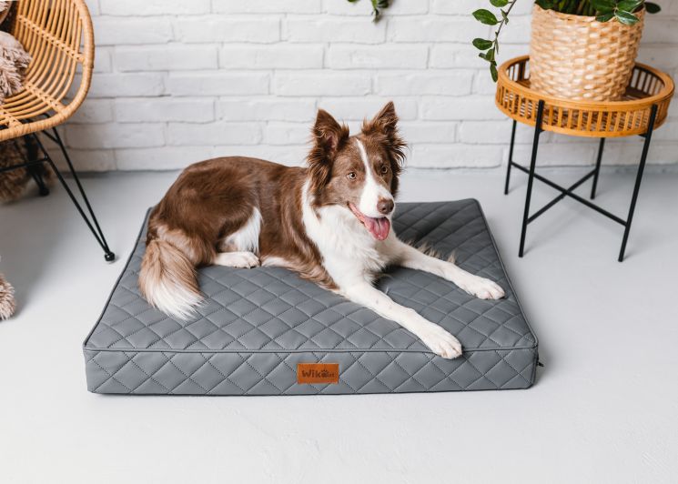 legowisko dla psa wikopet